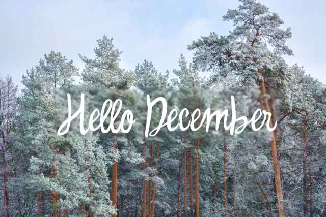Οι μηνιαίες προβλέψεις του Δεκεμβρίου, με βάση το δεκαήμερο της γέννησης σας.