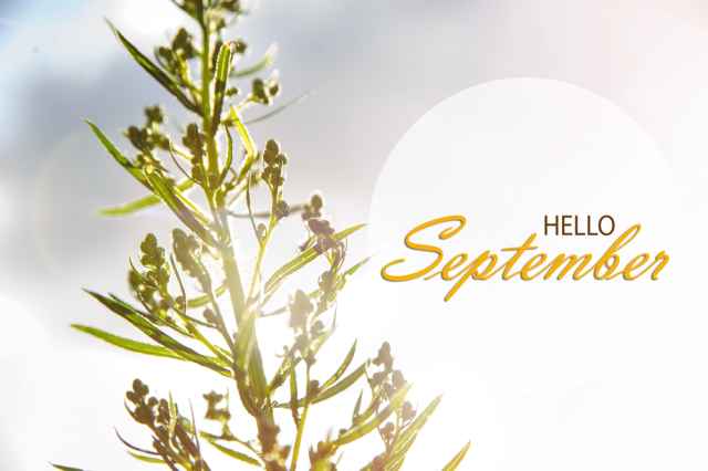 Οι μηνιαίες προβλέψεις του Σεπτεμβρίου με βάση το δεκαήμερο της γέννησης σας, από την Μαρία Ραπτοδήμου.
