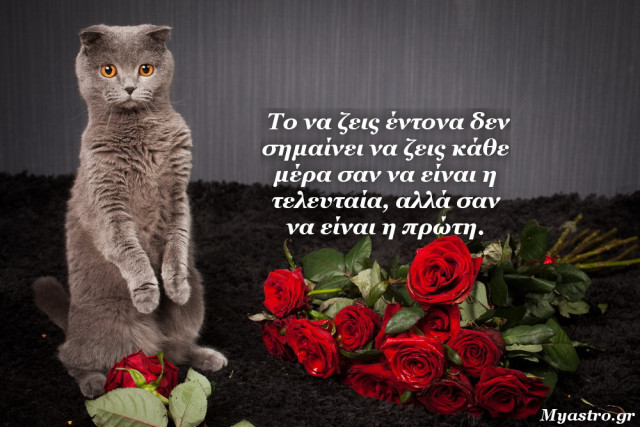 Τα ζώδια, ο έρωτας και… άλλες ιστορίες, για την εβδομάδα 5 ως 11 Μαΐου 2014.
