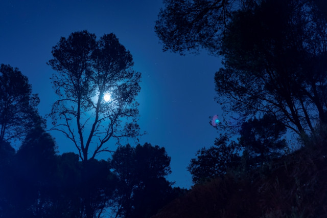 Νέα Σελήνη στον Σκορπιό στις 28 Οκτωβρίου 2019 (Video), από την Λίνα Χαμπιλίδου.