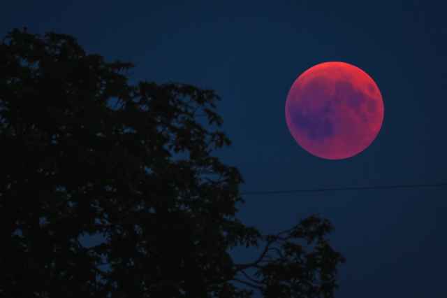 Η έκλειψη Σελήνης στον Λέοντα στις 21 Ιανουαρίου 2019 από την Λίνα Χαμπιλίδου (Video).